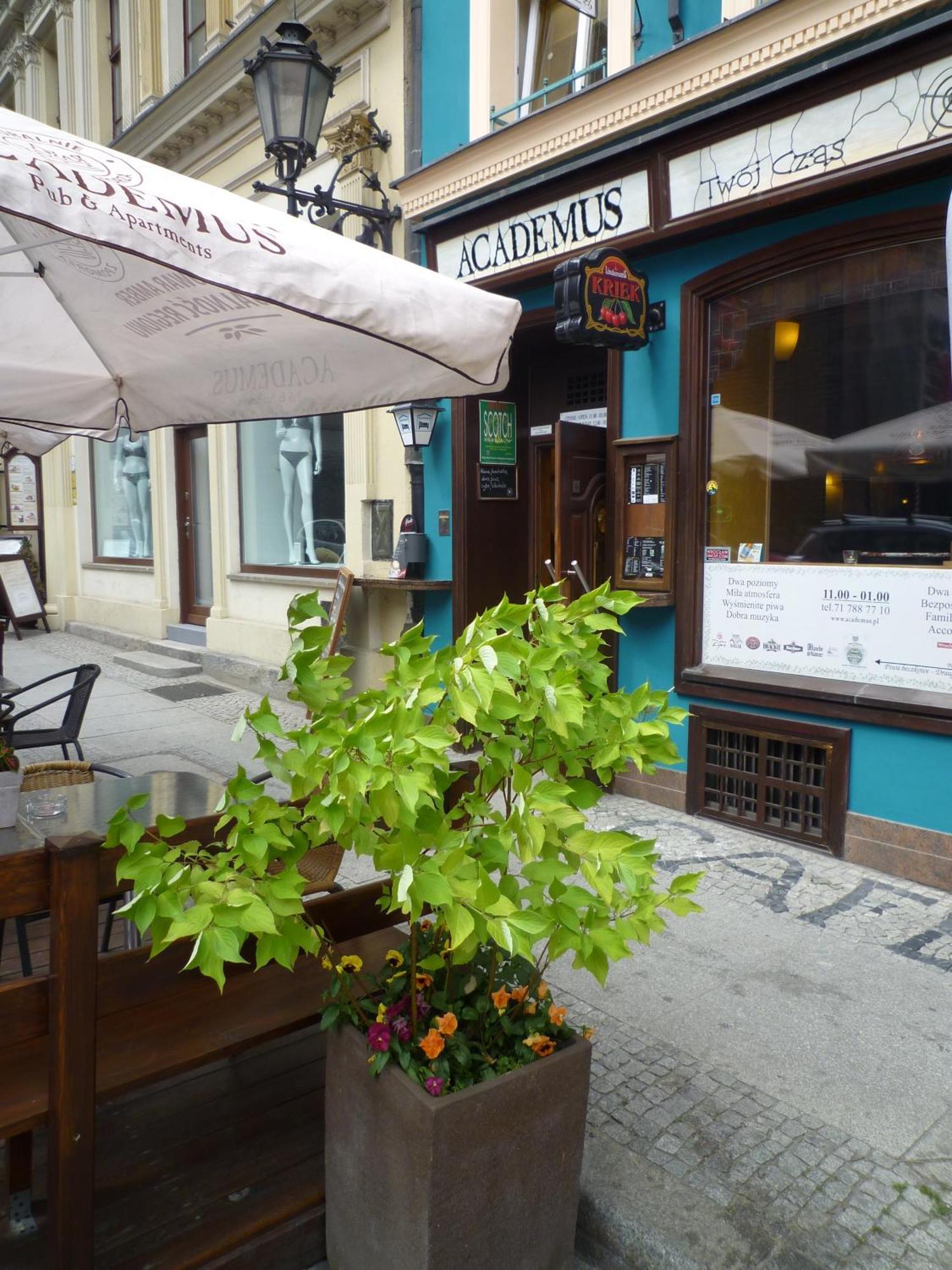 Academus Pub & Guest House Wrocław Eksteriør billede